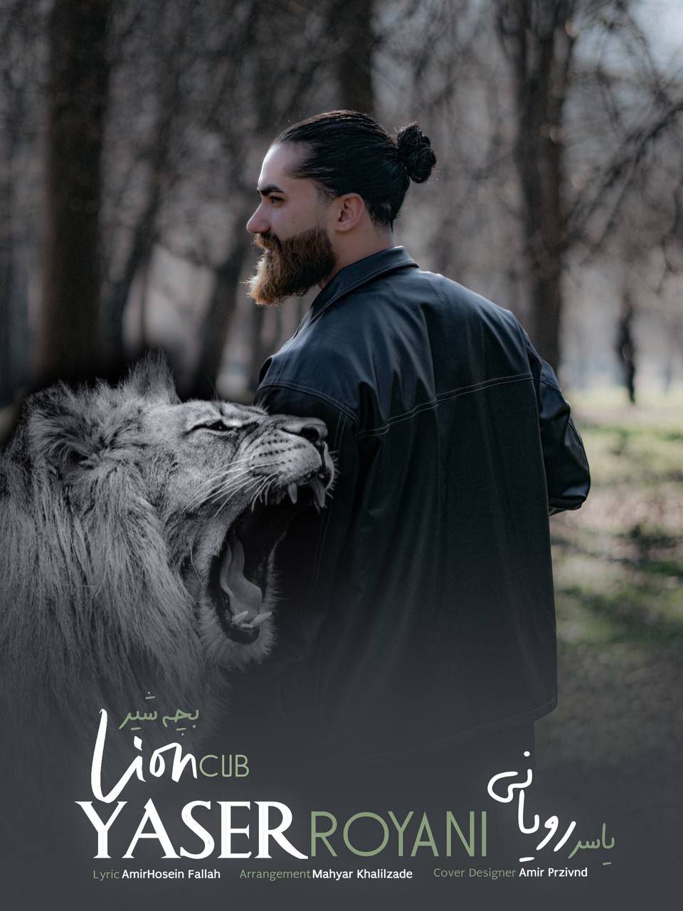 آهنگ بچه شیر با صدای یاسر رویانی