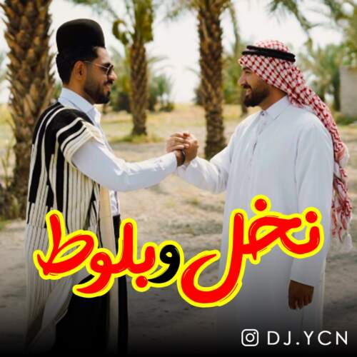دانلود آهنگ دیجی یاسین نخل و بلوط