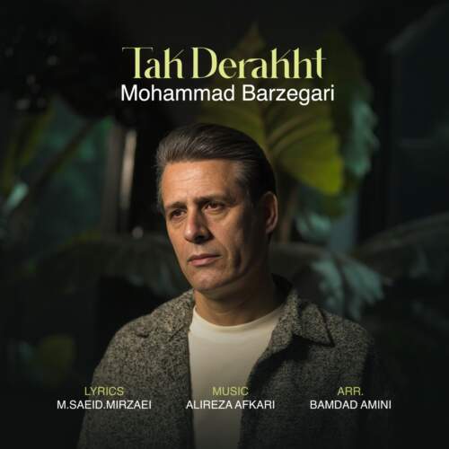 دانلود آهنگ محمد برزگری تک درخت