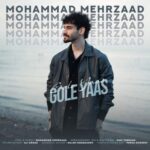 دانلود آهنگ محمد مهرزاد گل یاس