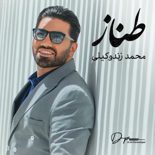 دانلود آهنگ محمد زندوکیلی طناز