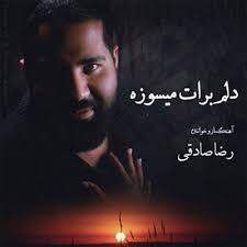 دانلود آهنگ رضا صادقی نرو