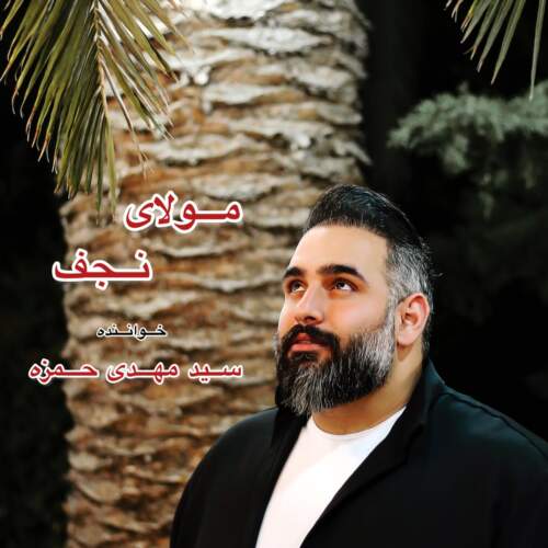 دانلود آهنگ سید مهدی حمزه مولای نجفی
