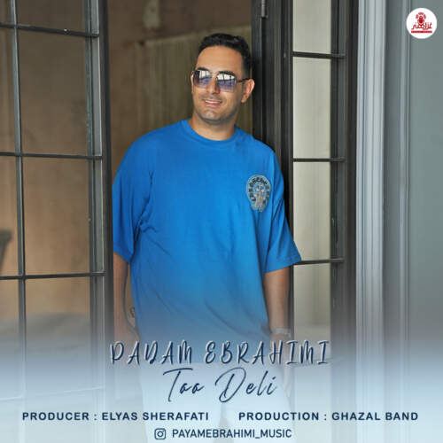 دانلود آهنگ پیام ابراهیمی تو دلی