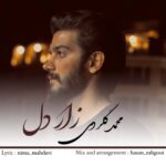 آهنگ زار دل از محمد گلردی
