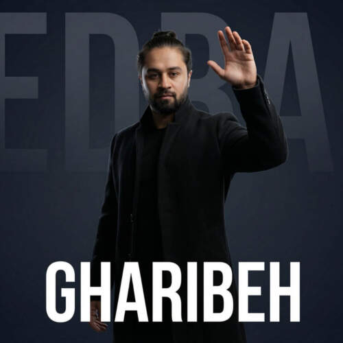 دانلود آهنگ پدرام خسروی به نام غریبه همراه با متن