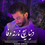 آهنگ دنیا هیچ نارنه وفا از محمد گلردی