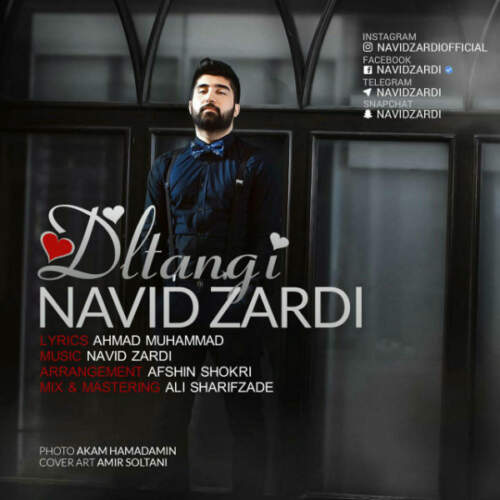 دانلود آهنگ نوید زردی دلتنگی