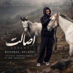 آهنگ اصالت از محمد گلردی